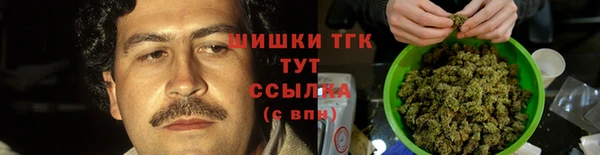 дживик Киренск