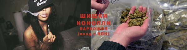 дживик Киренск