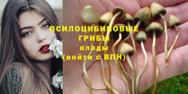 ПСИЛОЦИБИНОВЫЕ ГРИБЫ Киреевск