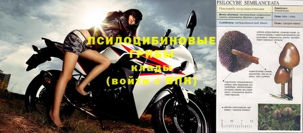 дживик Киренск