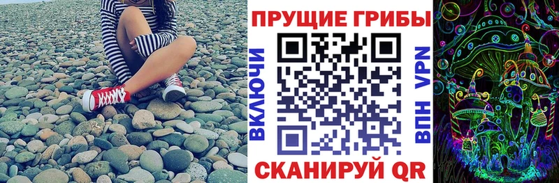 Псилоцибиновые грибы GOLDEN TEACHER  Петрозаводск 